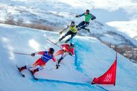 Bakuriani 5. Rang Weltcup Skicross